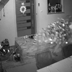 Sredi noči so jim s terase odnesli jelko z lučkami vred