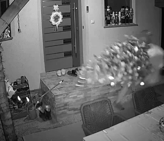 Sredi noči so jim s terase odnesli jelko z lučkami vred