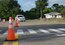 Zvone Černač: Za krajše čakalne vrste in nižje stroške opravljanja vozniških izpitov