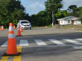 Zvone Černač: Za krajše čakalne vrste in nižje stroške opravljanja vozniških izpitov