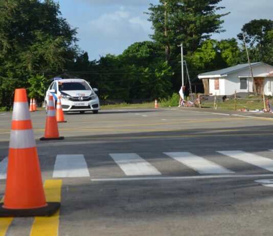 Zvone Černač: Za krajše čakalne vrste in nižje stroške opravljanja vozniških izpitov