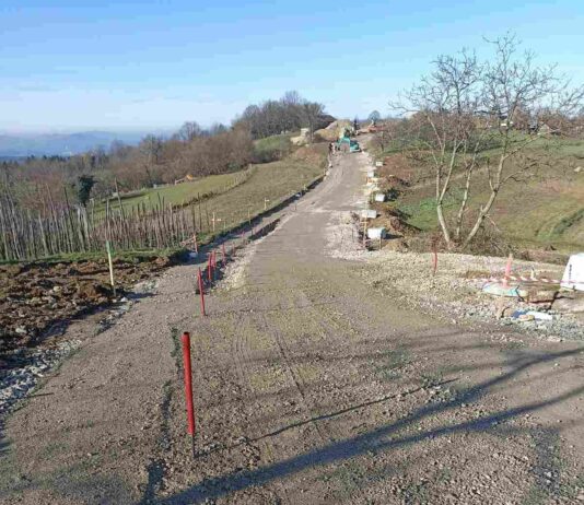 Od drugega tedna popolna zapora ceste skozi Dolž