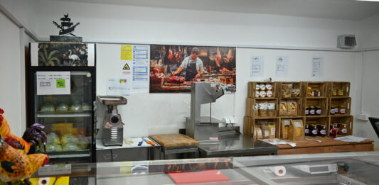 V center Novega mesta prihaja belokranjska mesarija