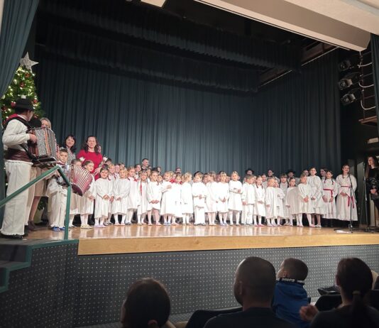 Metlika: Več kot 90 mladih folkloristov počastilo Navratilovo leto