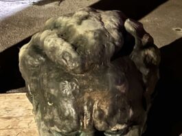 Velenje: Znanih več podrobnosti o kraji glave z bronaste skulpture