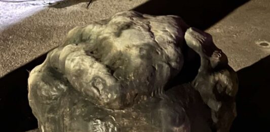 Velenje: Znanih več podrobnosti o kraji glave z bronaste skulpture