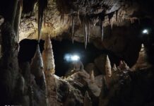 Kostanjeviški jamarji odkrili verjetno največji podzemni sistem jam na Dolenjskem