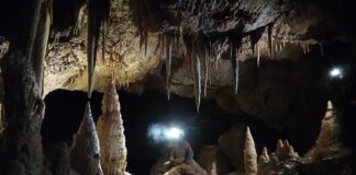 Kostanjeviški jamarji odkrili verjetno največji podzemni sistem jam na Dolenjskem