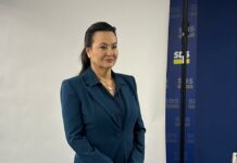 Razglašena vlada … ali pa namerna neučinkovitost!?