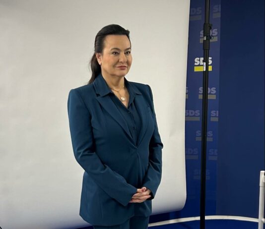 Razglašena vlada … ali pa namerna neučinkovitost!?