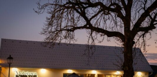 Šmarješke Toplice: Moletova hiša kot projekt medgeneracijskega druženja