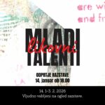 Novo mesto: V galeriji Kocka razstava del mladih likovnih talentov