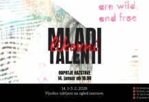 Novo mesto: V galeriji Kocka razstava del mladih likovnih talentov