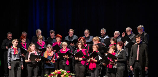 Dolenjske Toplice: Tema proslave ob kulturnem prazniku zborovsko petje