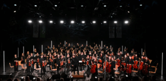 Novo mesto: Osrednja občinska prireditev ob kulturnem prazniku