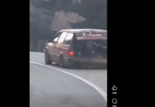 Takole so Romi čez Gorjance vozili drva (video)