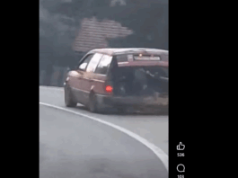 Takole so Romi čez Gorjance vozili drva (video)