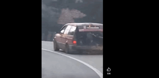 Takole so Romi čez Gorjance vozili drva (video)