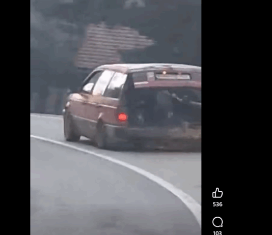 Takole so Romi čez Gorjance vozili drva (video)