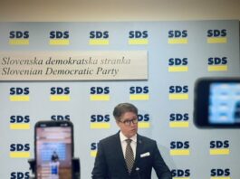 Franc Breznik: Gledamo, kako sistemske zakone sprejemajo, kot da gasijo požar, čeprav ni nikjer dima