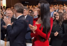 Golobu svetovali, naj se znebi dveh težav, ena od teh je prepotentnost