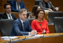 Siol: Fajonova naj bi priložila tudi Golobovo priporočilo