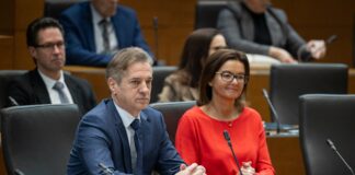Siol: Fajonova naj bi priložila tudi Golobovo priporočilo