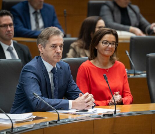 Siol: Fajonova naj bi priložila tudi Golobovo priporočilo