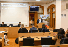 Novo mesto: Znani prejemniki občinskih nagrad za leto 2025