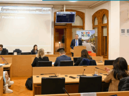 Novo mesto: Znani prejemniki občinskih nagrad za leto 2025