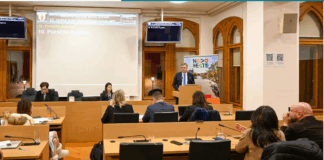 Novo mesto: Znani prejemniki občinskih nagrad za leto 2025