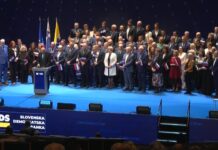 SDS: Davka na nepremičnine ne bo, ilegalce bodo vračali, zaprli pipice levičarskim nevladnim organizacijam, končali vojno z zdravniki