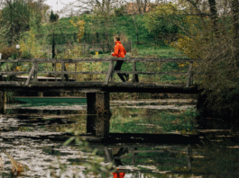 Vir: www.belakrajina.si