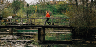 Vir: www.belakrajina.si