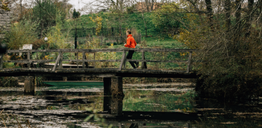 Vir: www.belakrajina.si