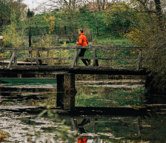 Vir: www.belakrajina.si