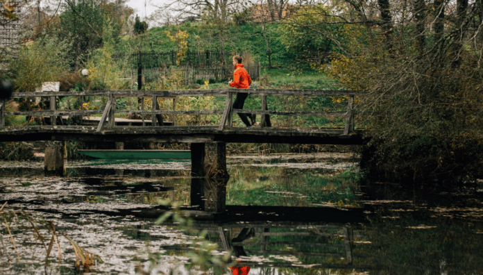 Vir: www.belakrajina.si