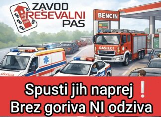Izjava dneva: “Namesto v 30 dneh do specialista smo dobili v 30 dneh do goriva”