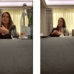 Objavljamo prevod na skrivaj posnetega pogovora z Nino Zidar Klemenčič