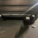 Se Kučanov in Jankovićev krog maščuje Dominiki Švarc Pipan?