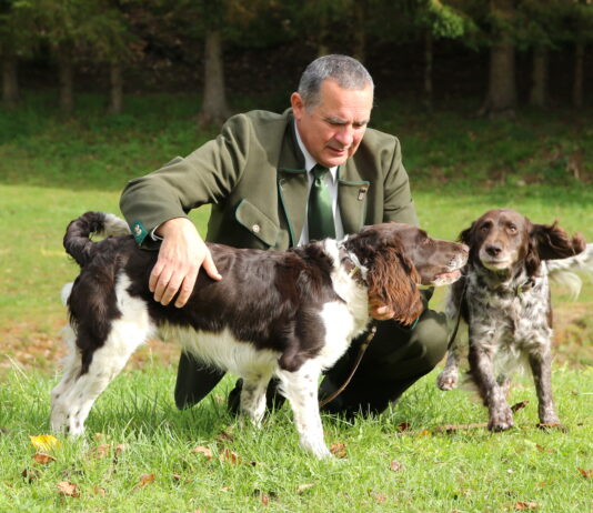 Mag. Robert Tomazin: “Utrip na terenu je pozitiven in prijeten”