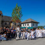 Zeleni Jurij priklical pomlad v Črnomelj