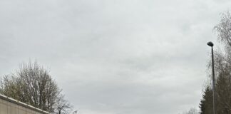 Tretja razvojna os: Strah jih je ljudi – peticija začasno onemogočena