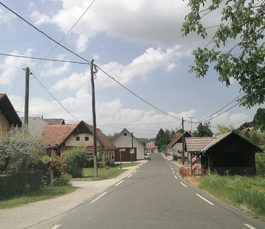 Zaradi iskanja oboroženega roparja cesta skozi Uršna sela zaprta