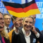 Bolj ko jo označujejo za ekstremistično, bolj priljubljena postaja AfD