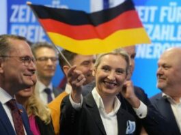 Bolj ko jo označujejo za ekstremistično, bolj priljubljena postaja AfD