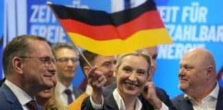 Bolj ko jo označujejo za ekstremistično, bolj priljubljena postaja AfD