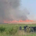 Skupna mladoletnih Romov kmetom že tretjič zažgala polje pšenice; škoda je velika