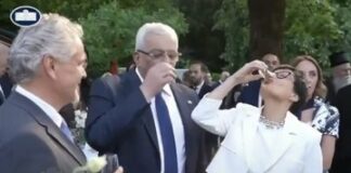 Marta Kos: Diplomacija ali zabava na račun ugleda Slovenije in EU?