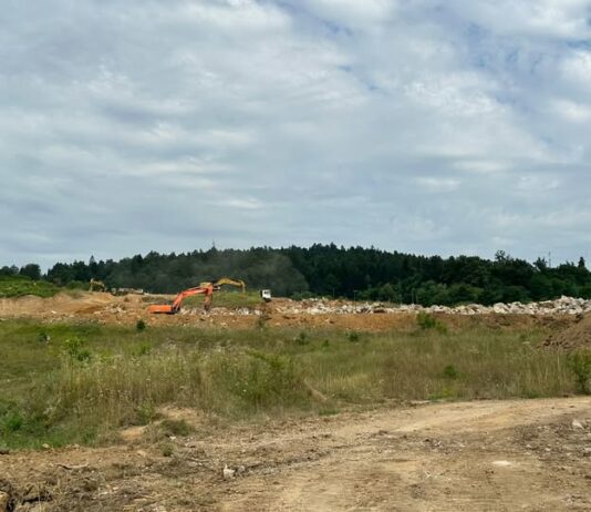 Novo mesto: Jakličeva in njena ekipa ustavljajo obvoznico, ne pa tudi trgovskega centra